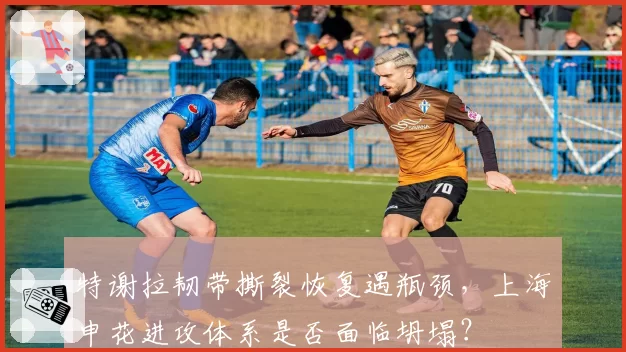 特谢拉韧带撕裂恢复遇瓶颈，上海申花进攻体系是否面临坍塌？