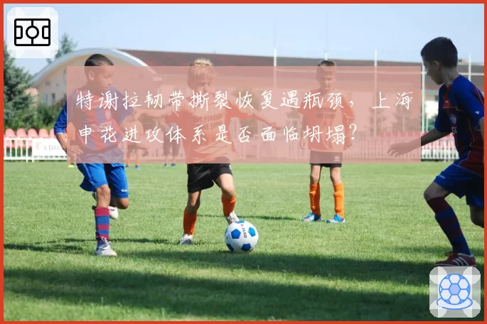 特谢拉韧带撕裂恢复遇瓶颈，上海申花进攻体系是否面临坍塌？